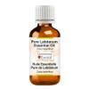 Greenwood Essential Pure Labdanum Essential Oil (Cistus ladaniferus) Steam Distilled 50ml (1.69 oz) view 1