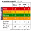 Apple Kale & Mango Chipotle Sandwich Wraps (Four-Pack)  Variety Pack of Plant-Based, Gluten-Free, Low-Carb Wraps  Vegan, Non-GMO, Paleo Tortilla Alternatives for Healthy Eating view 3