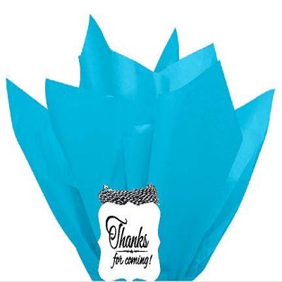 48Sheets Turquoise 20" x 30"Large Gift Wrap & Large Flower Decoration Crafting Tissues Paper with Decorative Thanks Gift Tags