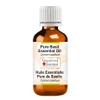 Greenwood Essential Pure Basil Essential Oil (Ocimum basilicum) Steam Distilled 100ml (3.38 oz) view 1