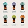 Cliganic Organic Aromatherapy Essential Oils Set (Top 6 - The Essentials), 100% Pure Natural - Peppermint, Lavender, Eucalyptus, Tea Tree, Lemongrass & Orange (Packaging May Vary) view 3