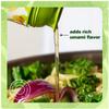 YONDU Organic Umami Seasoning Sauce: Replacement for Liquid Aminos, Fish Sauce, Soy Sauce. Non GMO, 100% Plant Based, Gluten Free (28 fl oz) view 4