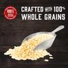 Kodiak Cakes Frontier Oat Gluten-Free Flapjack & Waffle Mix, 16 Oz (Pack Of 3) view 4
