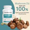 Real Mushrooms Vitamin D2 from Shiitake & Agaricus  Vegan Mushroom-Based D Supplement  Vitamins for Overall Wellness Support Organic, Non-GMO, 1000 IU  120 Count Functional Mushroom view 3