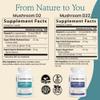 Real Mushrooms Vitamin D2 from Shiitake & Agaricus  Vegan Mushroom-Based D Supplement  Vitamins for Overall Wellness Support Organic, Non-GMO, 1000 IU  120 Count Functional Mushroom view 4