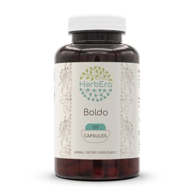HerbEra Boldo 120 Capsules, 500 mg, Boldo (Peumus boldus) Dried Leaf (120 Capsules)