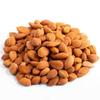 Arashan Apricots Seeds - Dried Sweet Raw Apricot Seeds, Natural| BEST Raw & Sweet Apricot Kernels, Directly From The Fertile Ferghana Valley In Kyrgyzstan | Sundried Apricot Kernel 60% Oil (1 LB) view 1