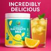 Electrolyte Powder  Zero Sugar Lemon Hydration Mix | 90 Servings | Keto, Vegan, Gluten-Free | Natural Electrolytes for Muscle Recovery, Energy & Immune Support | Electrolyte Drink for Women view 4