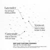 thisworks Choose Sleep Travel Kit, The Deep Sleep Pillow Mini Spray and Aromatherapeutic Roller Ball Infused with Eucalyptus, Frankincense & Lavender Essential Oils, 2x5ml view 3