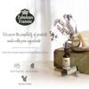 Fabulous Frannie All Natural Ingredients No Synthetics Protect Carpet Care made with Pure Essential Oils Clove, Lemon, Cinnamon, Eucalyptus and Rosemary 13 Ounce (Pack of 1) view 3