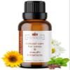 Punkin Organic Tooth & Gum Relief Oil - Pre-Diluted Clove Essential Oil Herbal Blend | Natural Daily Use Soothing Drops for Mouth Irritation | Chamomile & Peppermint Infusion (1oz) view 1