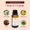 Punkin Organic Tooth & Gum Relief Oil - Pre-Diluted Clove Essential Oil Herbal Blend | Natural Daily Use Soothing Drops for Mouth Irritation | Chamomile & Peppermint Infusion (1oz) view 4