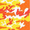 1/4 Sheet ~ Orange, Yellow, & Red Camo Birthday ~ Edible Cake/Cupcake Topper!!! view 1