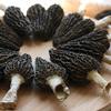 Jumbo Dried Morel Morchella Mushroom Crop Top Grade Premium Quality 100g (3.5oz) view 2