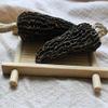 Jumbo Dried Morel Morchella Mushroom Crop Top Grade Premium Quality 100g (3.5oz) view 3