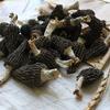 Jumbo Dried Morel Morchella Mushroom Crop Top Grade Premium Quality 100g (3.5oz) view 4