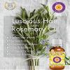 Deve Herbes Pure Rosemary Essential Oil (Rosmarinus officinalis) Steam Distilled 1250ml (42 oz) view 3
