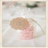 100 MACARON Bags 4W"x2D"x8H" for Gifts and Favors Macaroon view 2