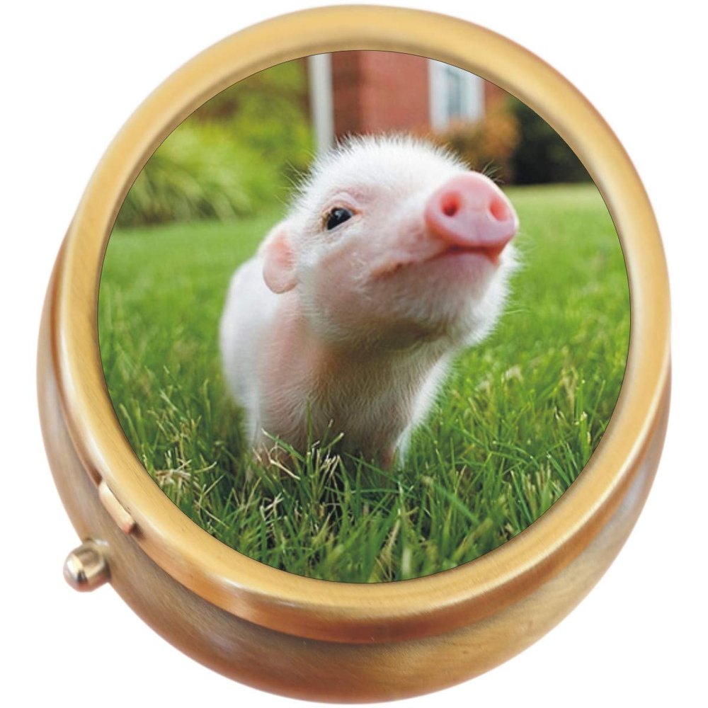 Baby Pig Brass Round Pill Box