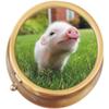 Baby Pig Brass Round Pill Box view 1