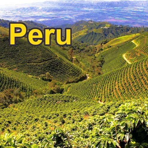 Pervian 16oz, Dark Roast, Whole bean