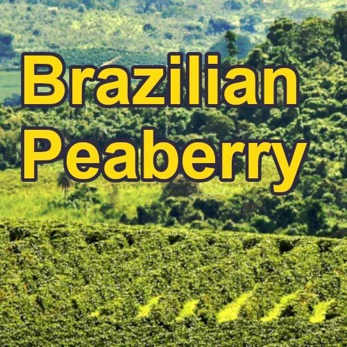 Brazilian Peaberry 16oz, dark Roast, Whole bean