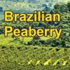 Brazilian Peaberry 16oz, dark Roast, Whole bean view 1