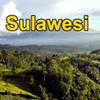 Sulawesi 16oz, Dark Roast, Whole Bean view 1