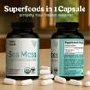 Atlantic Naturals Superfood Organic Irish Sea Moss Capsules - 120 Veggie Capsules | Wildcrafted Organic Sea Moss Supplement for Men & Women | Better Than Sea Moss Gel | Support Immunity & Skin, 1000mg view 3