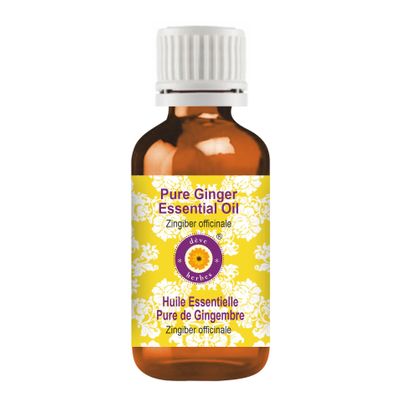 dve herbes Pure Ginger Essential Oil Steam Distilled 15ml (0.50 oz)