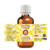 dve herbes Pure Ginger Essential Oil Steam Distilled 15ml (0.50 oz) view 2