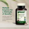 Standard Process Multizyme - Pancreatic Enzyme Supplement to Support The Breakdown of Proteins, Carbohydrates & Fats - Digestive Support - Gluten-Free, Non-Dairy & Non-Soy - 90 Capsules (90 Servings) view 3