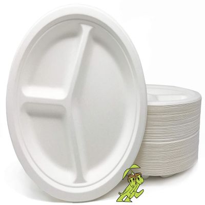 100% Compostable Heavyweight 10 inch 3 compartment plates (White), 500ct BULK VALUE PACK, Made from Sugar Cane Bagasse, Mr. Green Guys Compostable Plates