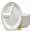 100% Compostable Heavyweight 10 inch 3 compartment plates (White), 500ct BULK VALUE PACK, Made from Sugar Cane Bagasse, Mr. Green Guys Compostable Plates view 1