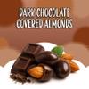 Dark Chocolate Covered Almonds 2-Pound Bag | Bulk Chocolate Covered Nuts | Coated Roasted Almonds for Party Favors, Gifting, Office Candy Jars & Snack Stations view 4