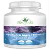 Advanced Brain Formula (60 Veggie Caps) I Memory, Brain, Booster I Mental Focus view 1