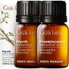 Gya Labs Frankincense and Myrrh Oils for Diffuser (0.34 fl oz x 2) view 1