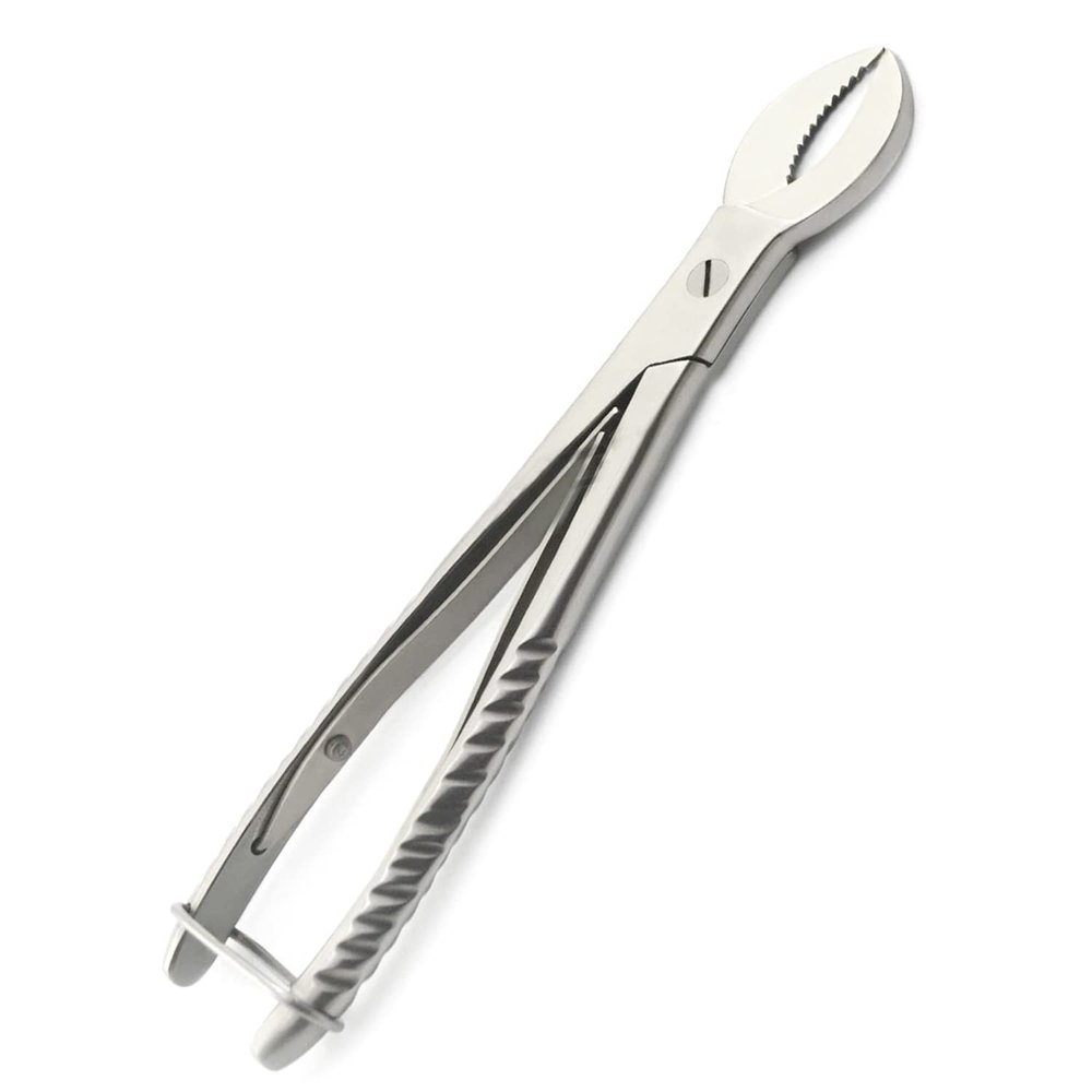 AAProTools Plaster Nippers 8" Double Spring Action