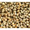 BSD Organics HealthY Pearl Millet/Kambu - 200 Gm / 7.05 Oz view 2