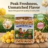 Princeton Popcorn Signature Easy Pop Mushroom Popcorn Kernels  New 2026 Ultra-Premium Variety, Pops Large & Round, Easy-Popping with Fewer Hulls, Non-GMO, No Glyphosate, Farmer-Direct, Made in USA (32 oz) view 2