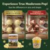 Princeton Popcorn Signature Easy Pop Mushroom Popcorn Kernels  New 2026 Ultra-Premium Variety, Pops Large & Round, Easy-Popping with Fewer Hulls, Non-GMO, No Glyphosate, Farmer-Direct, Made in USA (32 oz) view 4