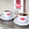 Al Ameed Gourmet Turkish Ground Coffee Light Roast with Cardamom, 100% Authentic Arabica, Fresh & Finely Ground, 8oz view 4