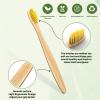 10 Pack Bamboo Toothbrushes | Biodegradable & Compostable Eco-Friendly Natural Bamboo Charcoal Toothbrushes | BPA Free Soft Bristles Wooden Toothbrush - 100% RECYCLED PACKAGING (Adult - 10 Color) view 3