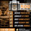 EPICATECHIN - 500MGs Per Serving - 60 Servings and 1000MGS Per Serving - 30 Servings - Max Strength - May Reduce Myostatin - May Increase Lean Muscle And Strength - Helps In Protein Synthesis view 3