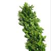 3 Feet Fresh Garland Myrtle for a Small Table Runner, Weddings, Backdrop view 2