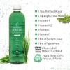 Chlorophyll Water (6-pack) Certified Clean Label, Chlorophyll Liquid Drops in Purified Water, Beauty Drink for Glowing Skin, Anti-Aging & Natural Detox with Plant-Based Vitamins A, B12, C, D3 (16.9oz) view 4