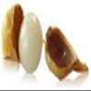 PLANET 007 Kashmiri Garlic 200 Gram Kashmiri Lehsun Single Clove Garlic Ek Pothi Lahsun view 3