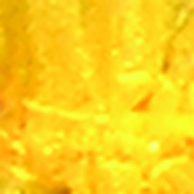 The Ribbon People Club Pack of 36 Yellow Organza Tie Gift Bags 3.5" x 5.5"