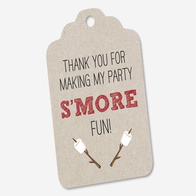 24 - Thanks for Making My Party S'More Fun Birthday Party Favors, Baby Shower Favor Tags, Bridal Shower Tags (ST-438-1-KR)