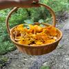 Dried Chanterelle Mushrooms, Premium Grade (2oz) view 3